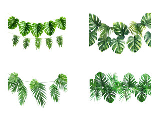 Exotic green leaves for party decoration on white background