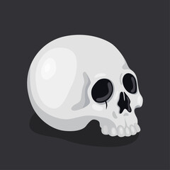 Illustration of a human skull on a dark background. Element for Halloween or Day of the Dead. Vector illustration isolated on black.