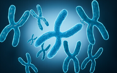 Human genes and chromosomes, 3d rendering.