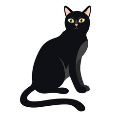 Obraz premium Black domestic cat. Cat silhouette, elegant black cat. Black witch Halloween cat. Vector illustration isolated on white.