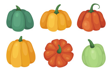 Set of different autumn pumpkins. Orange, yellow and green pumpkin and squash. October, fall, harvest time. Autumn vegetables. Vector illustration isolated on white. 