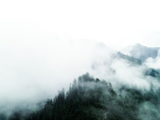 fog in the mountains