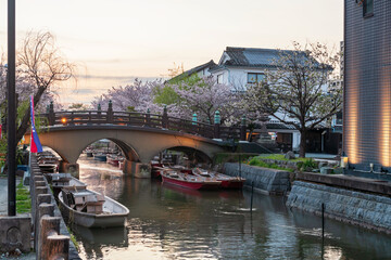 tourist boats and cherry blossom tunnel at Suigo river at sunset, Yanagawa