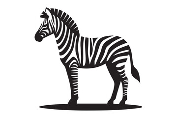 Zebra vector Illustration, simple vector art style