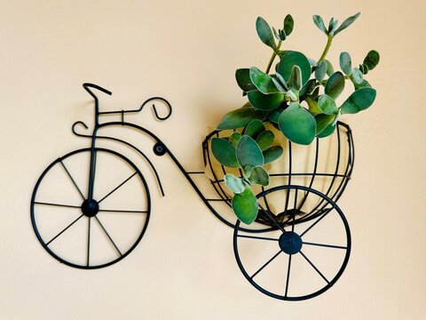 Wall Mounted Bicycle Planter with Succulent Plant on Beige Background - Powered by Adobe