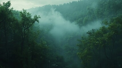 A serene forest emerges from a thick fog, its lush green trees shrouded in mystery. The foliage boasts a vibrant tapestry of emerald hues, painting a tranquil scene.