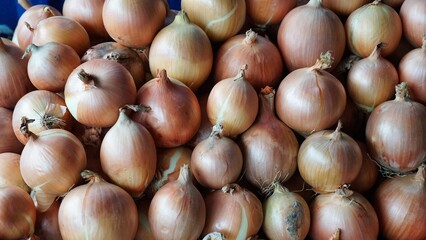 Close-Up of Fresh Brown Onions