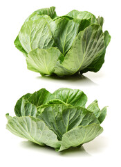 Obraz premium cabbage on a white background