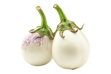 A single white eggplant is isolated on a white transparent background.
