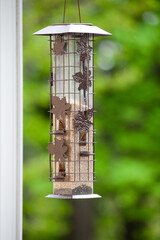 High quality vintage style bird feeder for patio which protects food against squirrel stealing