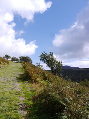 landscape with blue sky and clouds