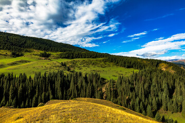 Obraz premium landscape with lake