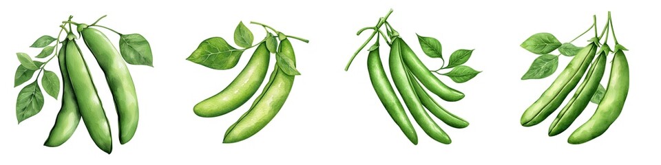 Fresh green peas with vibrant leaves, showcasing a natural and healthy look, perfect for culinary and dietary themes.