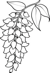 Detailed Flower Outline Creation