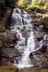 Obraz premium Waterfall, flowing down a steep cliff in cascades in a stream in Magoebaskloof in South Africa.