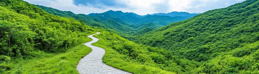 Fototapeta premium Scenic mountain hiking trail winding through lush forests, leading to breathtaking panoramic viewpoints, adventure and nature