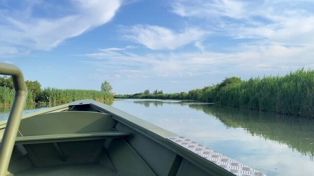 Boat tour on the Italian River. Scene features a variety of plants thriving at the water's edge, highlighting the region's rich biodiversity