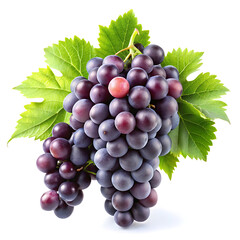 Fototapeta premium hanging black branch grapes isolated on a white background