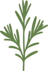 Rosemary Sprig in Doodle Style - Vector Clip Art for Restaurants and Packaging.