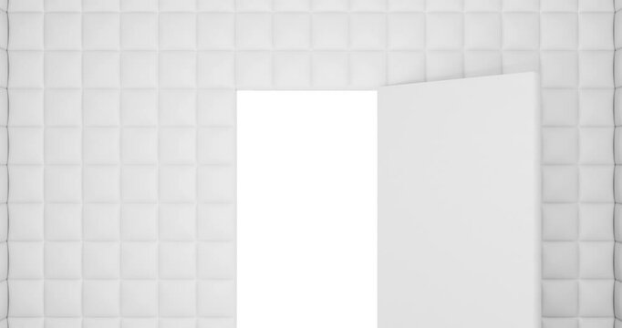 4k Resolution Video: Door Opening in Empty White Mental Hospital Padded Room with Alpha Mate