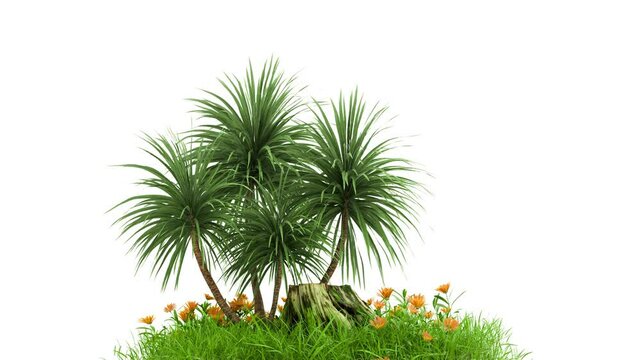 plant  and grass field footage, 3d illustration rendering