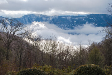 Foggy Mountain Serenity