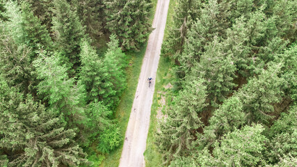 Aerial drone view of cyclist riding on bike in forest road landscape from above, man cycling a bicycle on trail track, sport and fitness outdoors