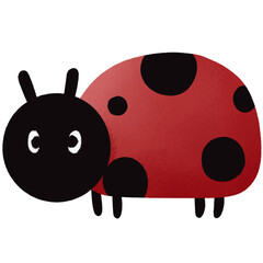 Ladybug