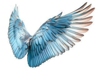 Majestic blue wings of a bird in mid-flight display elegance, transparent