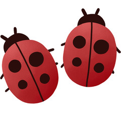 Ladybug