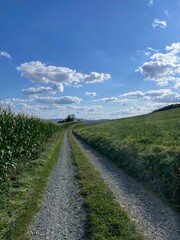 Wandern Hennetalsperre Sauerland Meschede Deutschland