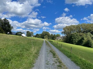Wandern Hennetalsperre Sauerland Meschede Deutschland