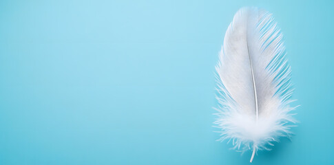 White fluffy bird feather on sky blue background