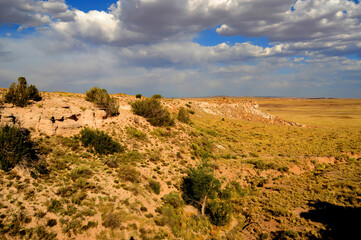 Harsh Landscape Petrified Forest National Park Arizona