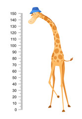 Funny giraffe. Cheerful funny giraffe with long neck. Giraffe meter wall or height chart or wall sticker. Illustration with scale from 0 to 150 centimeter to measure growth © the8monkey
