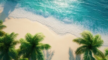 Top View of a Tropical Beach with Palm Trees