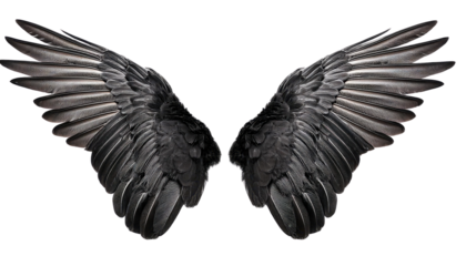Black angel wings on white background. Perfect for fantasy, mythological themes, or artistic and creative projects. PNG with transparent edges.