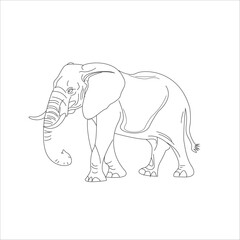 vector elephant line art illustration