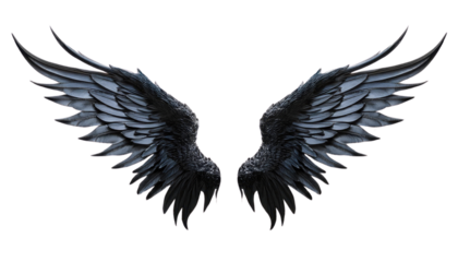 Detailed black angel wings with a transparent background. Ideal for fantasy, gothic, or celestial themes in digital art and design.