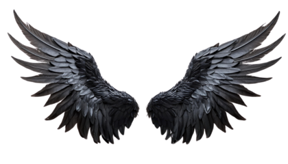 Elegant dark angel wings with detailed feathers. Perfect fantasy illustration for design projects, posters, and themed decorations.