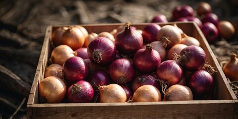 Obraz premium Freshly Harvested Onions in a Wooden Crate.