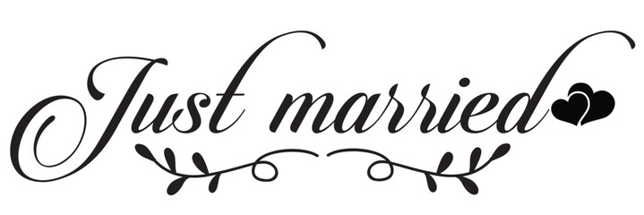 Just Married hand lettering phrase. Vector brush calligraphy text design isolated on white background.