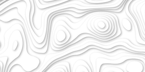 White 3d papercut vector format 3d shadow abstract wallpaper fresh tiles design curved topology or topography 3d map texture backdrop illustration paper template