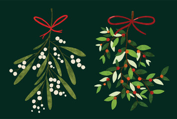 watercolor hanging mistletoe, christmas plant