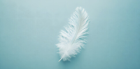 Obraz premium White fluffy bird feather on sky blue background