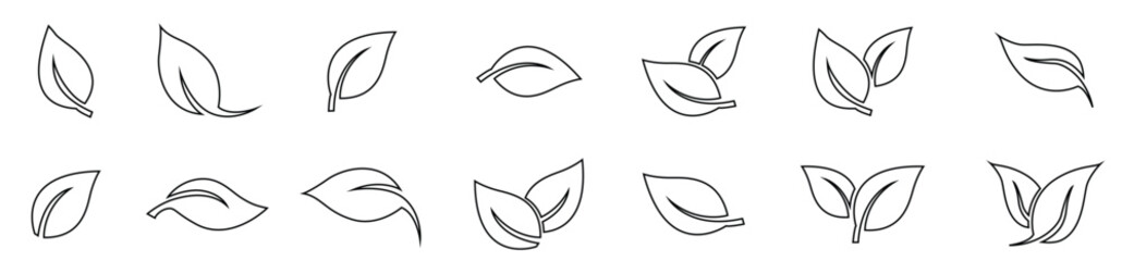 Green leaf icons set leaves icon isolated background collection green leaf elements design natural.