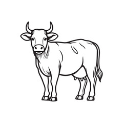 Cow black line out isolated on white background. 