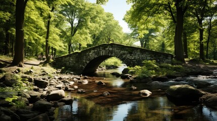 beautiful view of greenery and a bridge