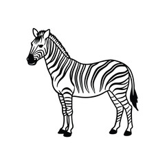 Zebra vector illustration outline vector illustration design.