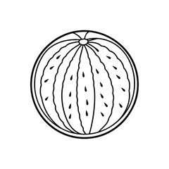 Watermelon fruit icon vector illustration on white background.